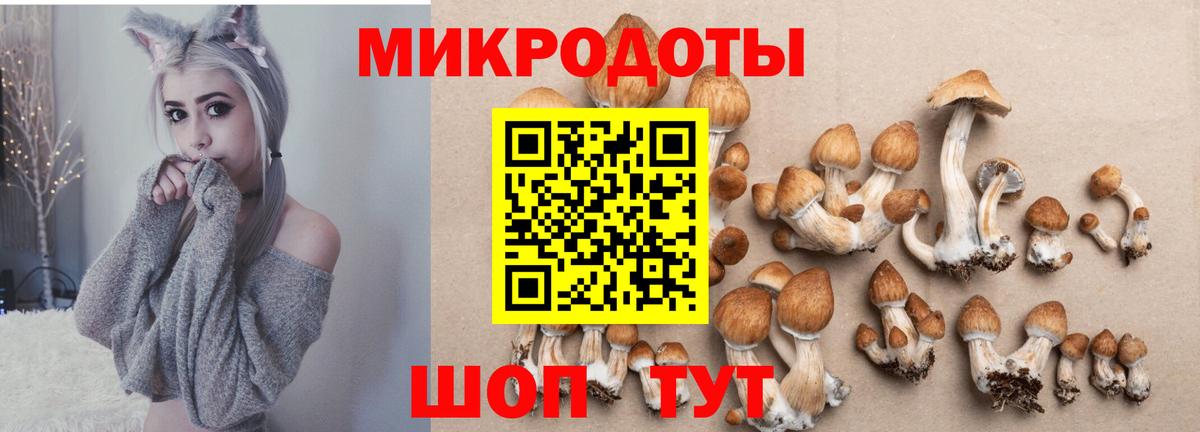 Псилоцибиновые грибы Psilocybe  Псилоцибиновые грибы Magic Shrooms  Нижний Новгород  Вход с VPN 